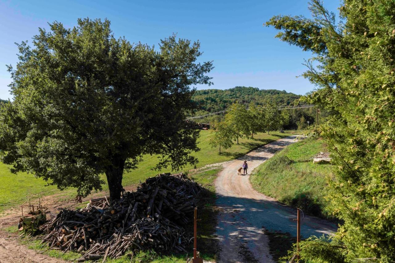 Podere Pratizzoli 토얼 외부 사진